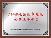 DTMB地面数字电视公共服务平台